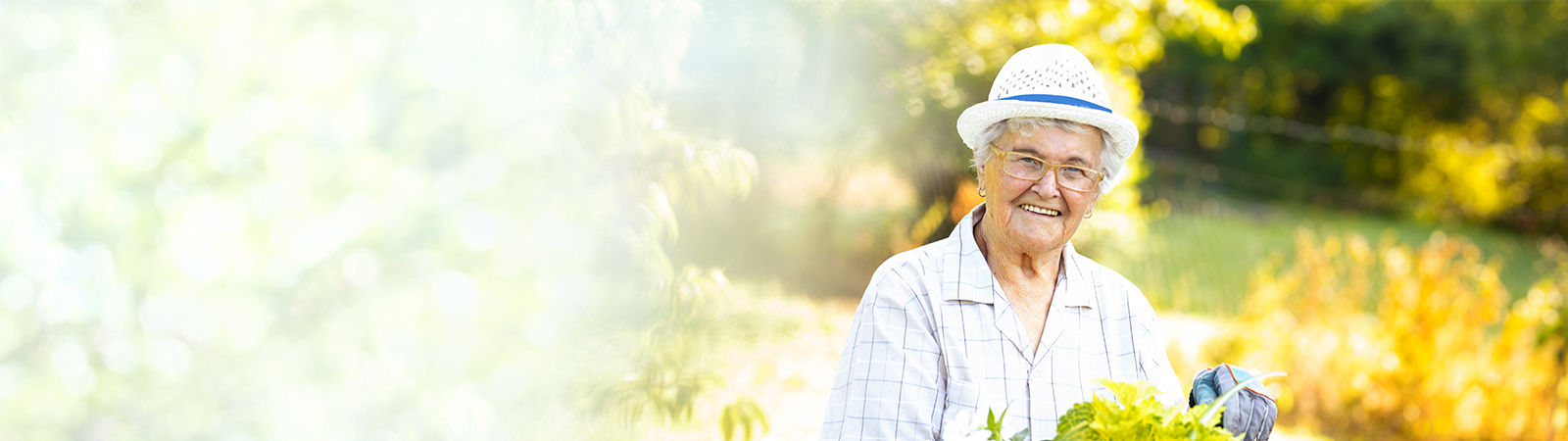 Active senior woman gardening in nature with a bright smile, embracing healthy aging and outdoor living